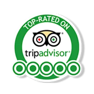 TripAdvisor - The Massage Guy - Top Rated(300x300) The Massage Guy - Cape Town | Top-Rated On Trip Advisor